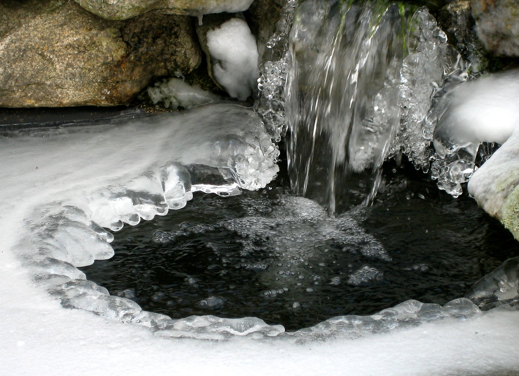 A Koi pond in winter