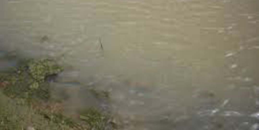 Muddy Brown Pond Water