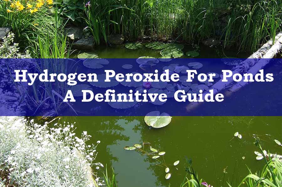 Hydrogen Peroxide For Ponds