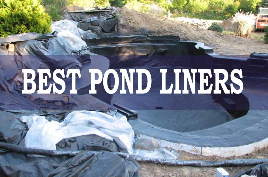 Best Pond Liners
